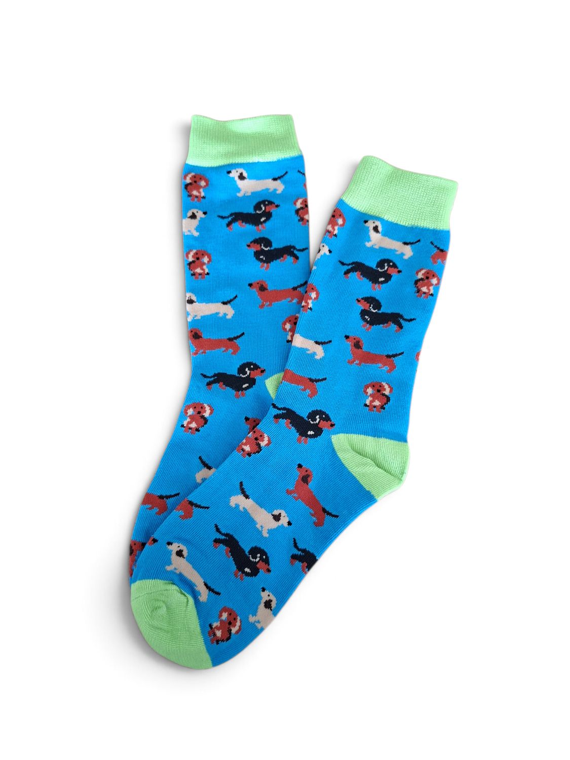 Socks - Blue with black, brown & tan dachshunds