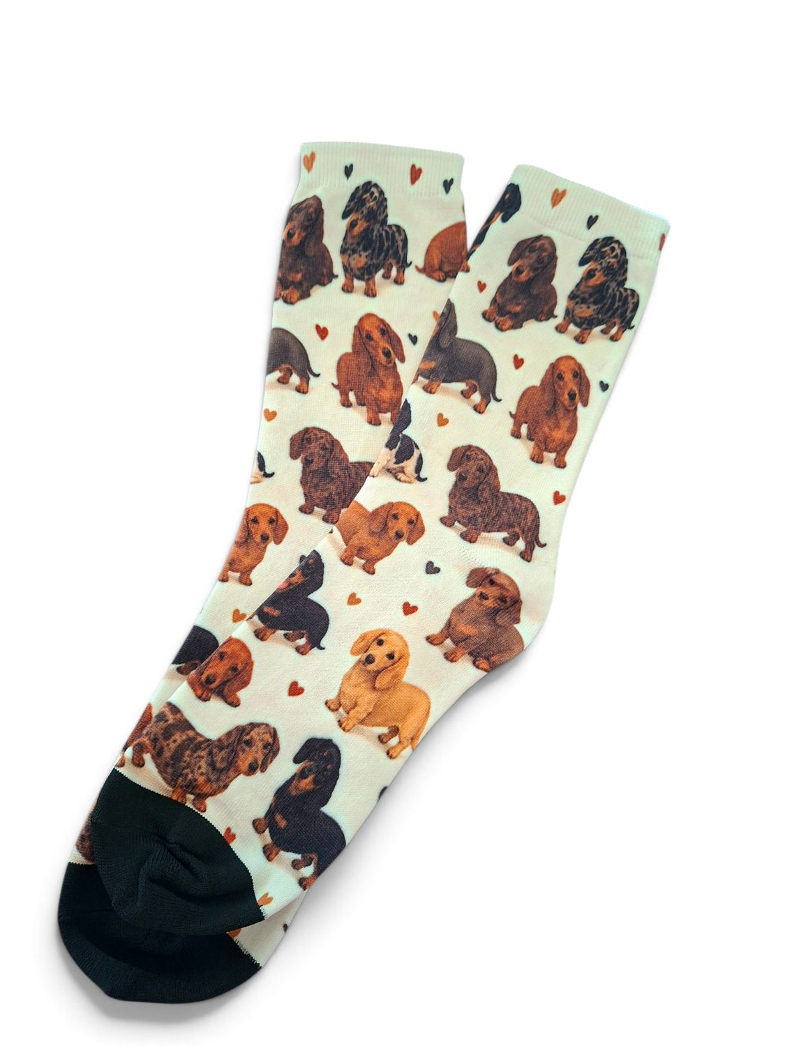 Socks - White with cute mixed dachshunds and small hearts