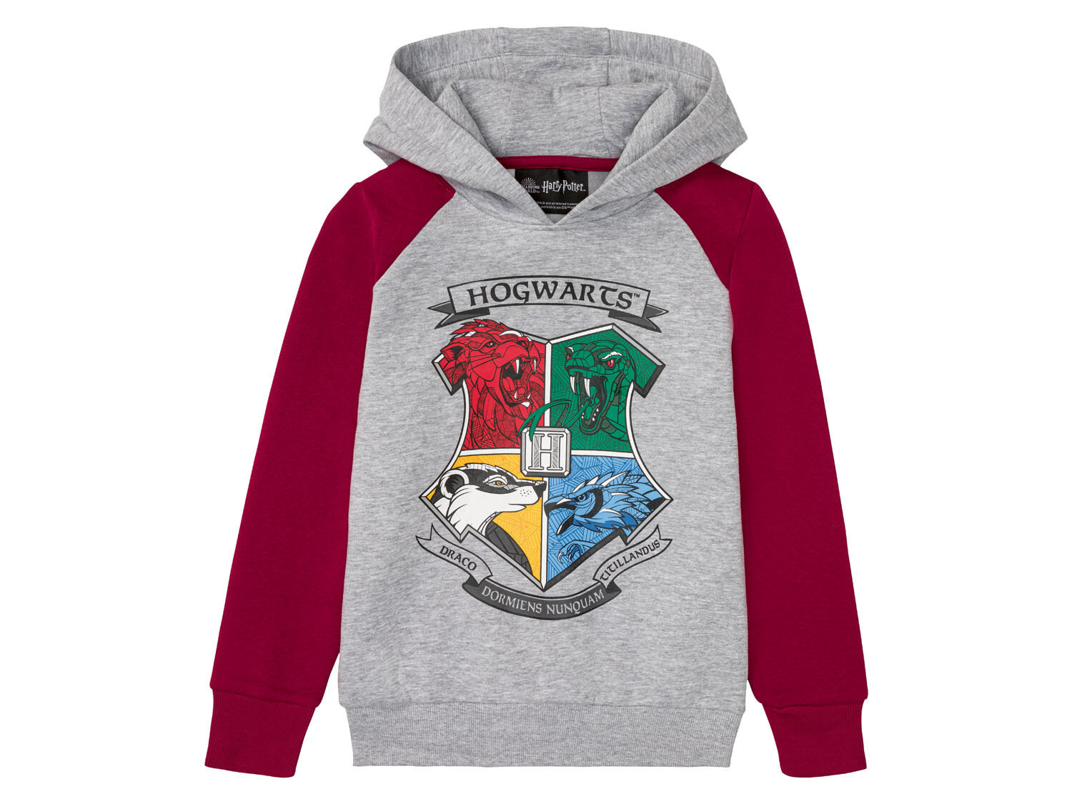 Harry Potter "Hogwarts" hoodie kids series