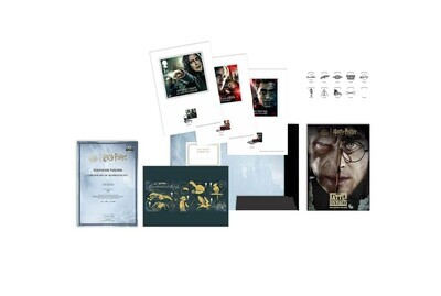 Harry Potter The Battle of Hogwarts Souvenir art print