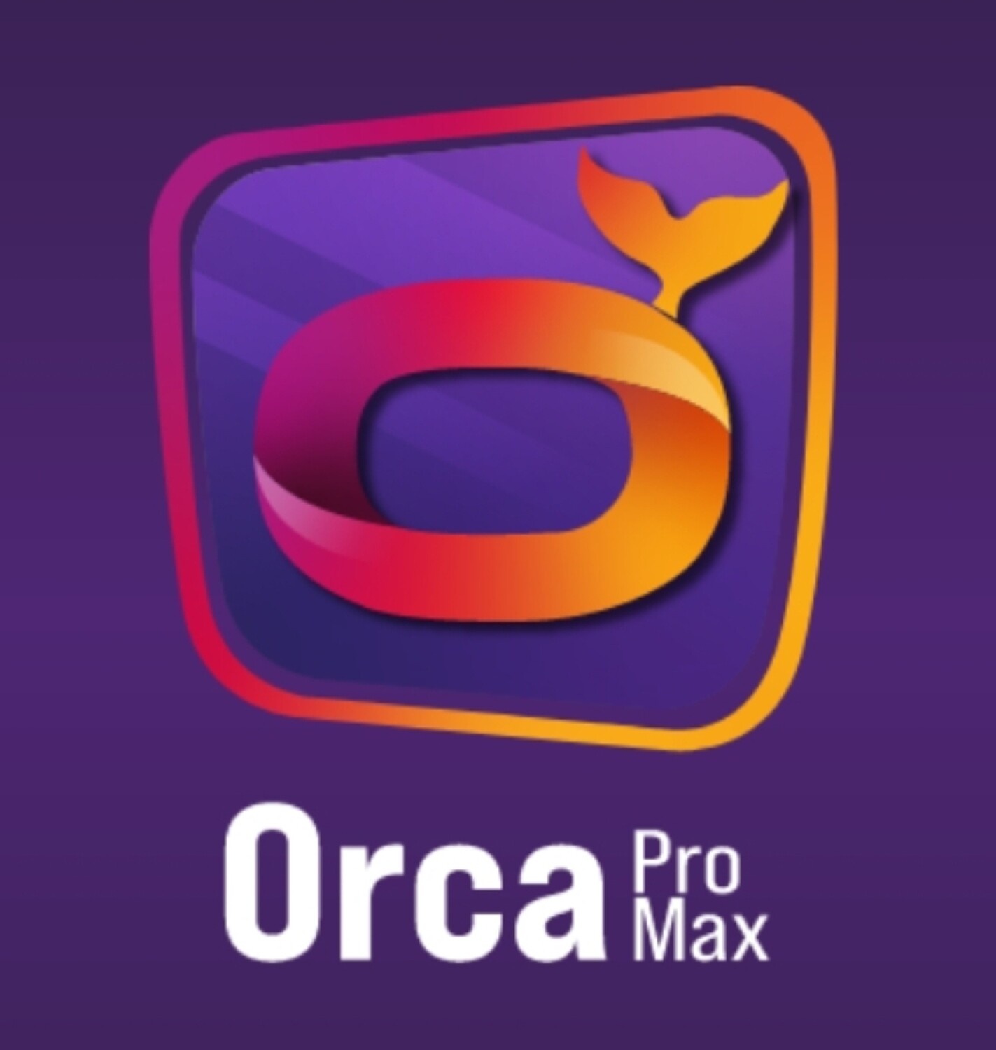 ORCA PRO MAX | 12 MOIS