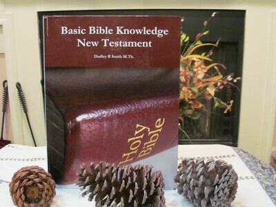 Basic Bible Knowledge New Testament: Book