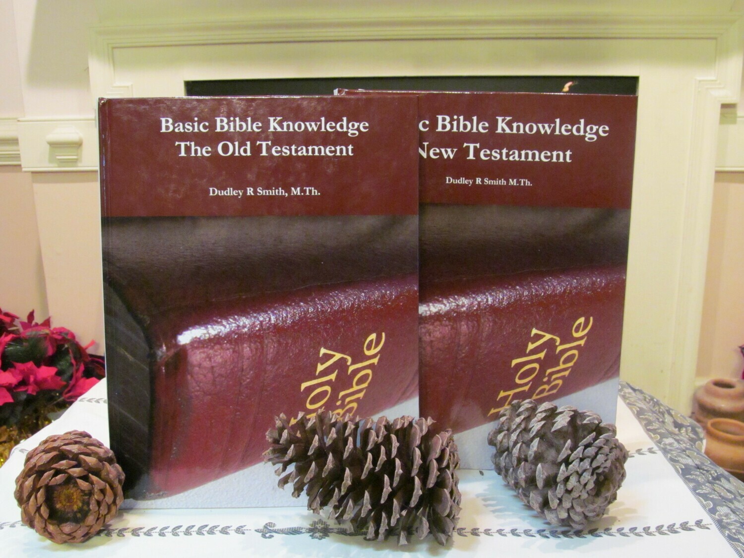 Basic Bible Knowledge Combo: Books