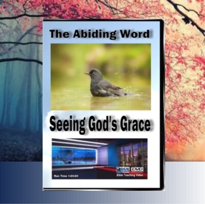Seeing God&#39;s Grace: Teaching Series