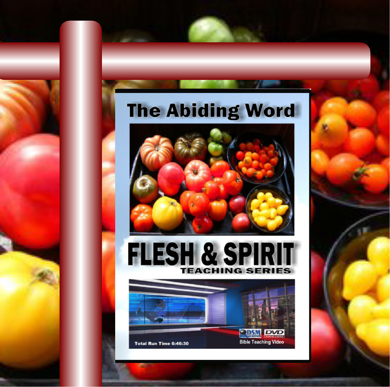Flesh &amp; Spirit Teaching Series Vol.1-6