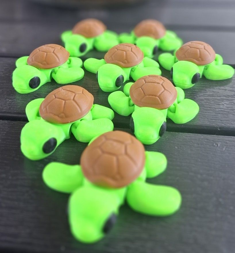 sleutelhanger /keychain  schildpad / turtle