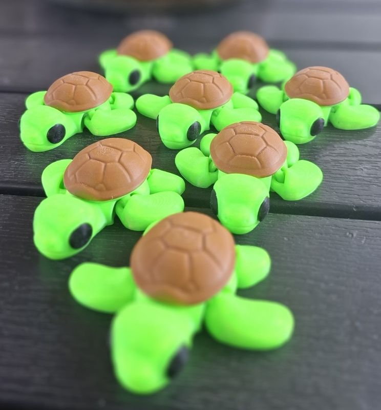 sleutelhanger /keychain  schildpad / turtle