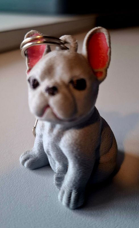 french bully  sleutelhanger