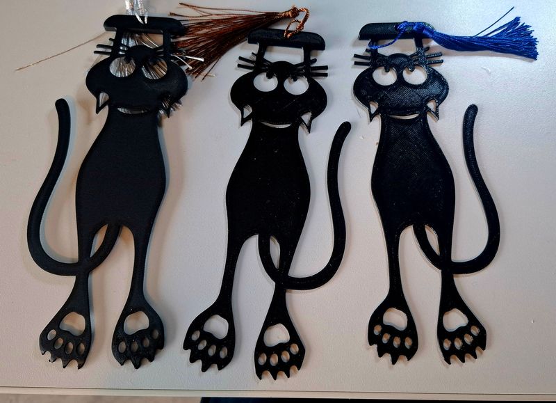 Blad wijzer big black cat