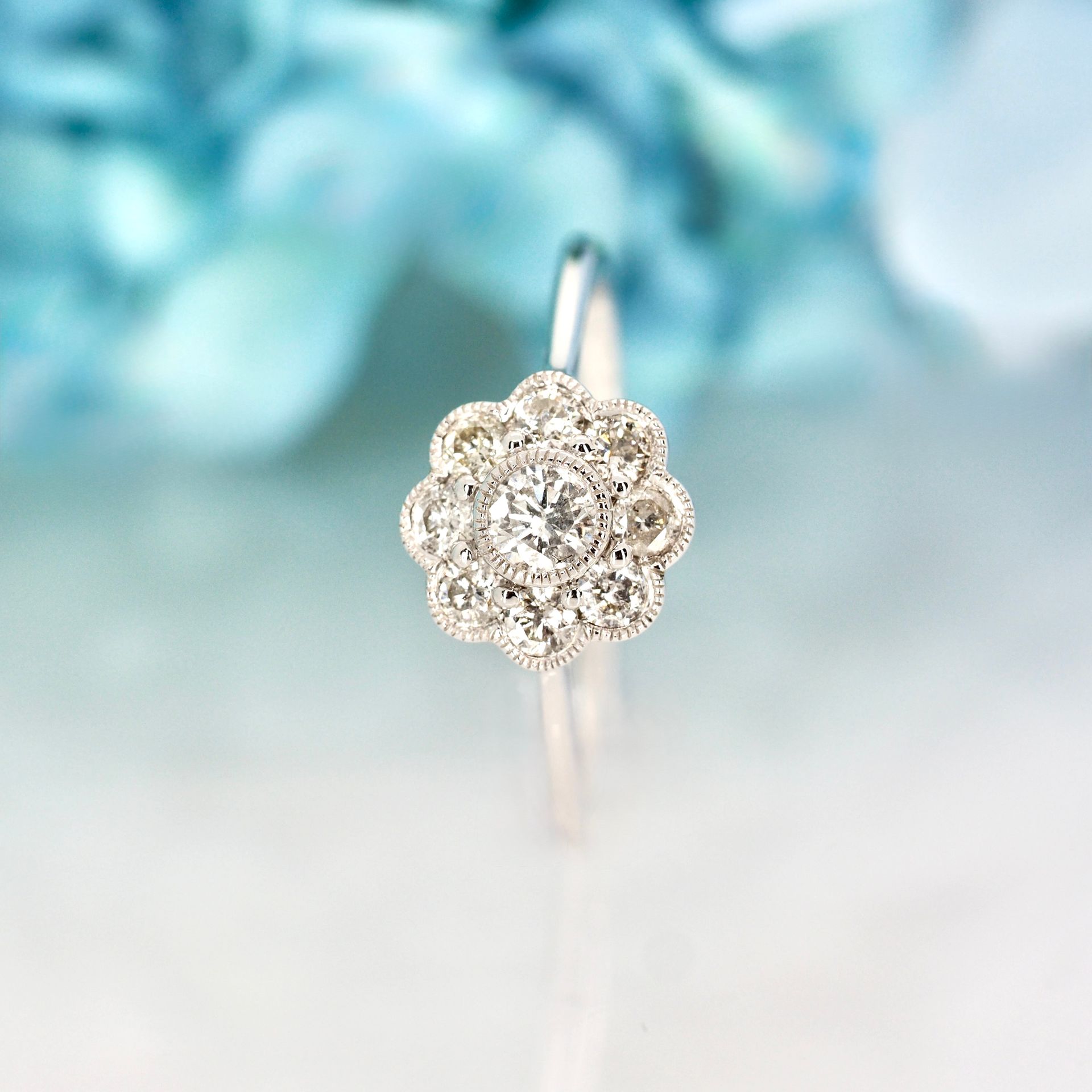 9ct White Gold 0.45ct Round Brilliant Cut Diamond Cluster Ring