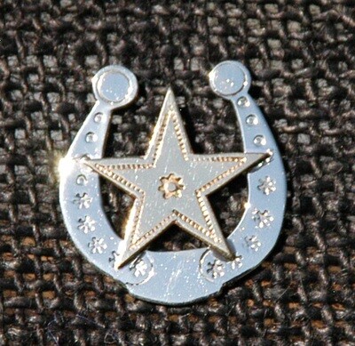 Pin: Brass Star & Horseshoe