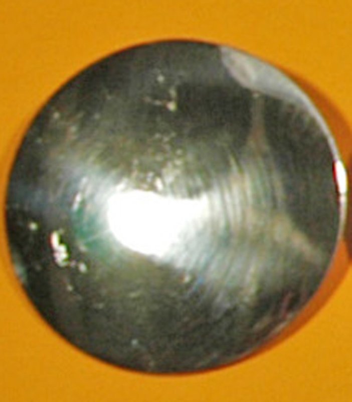 NORTHERN PLAINS EXTRA CONCHO