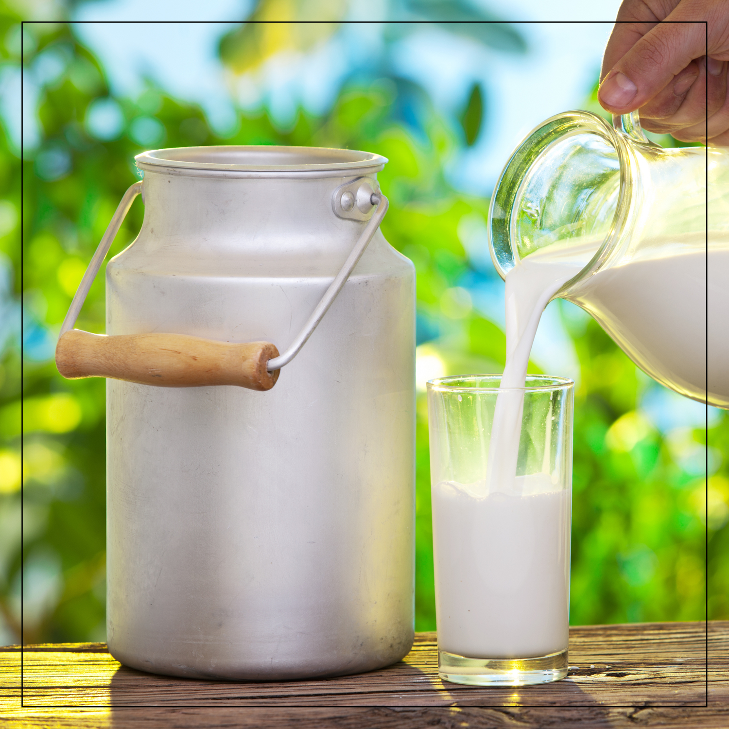 Raw Goat Milk