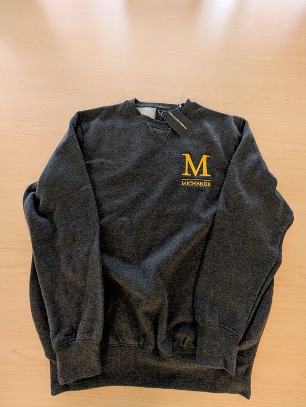 crewneck sweatshirt - charcoal