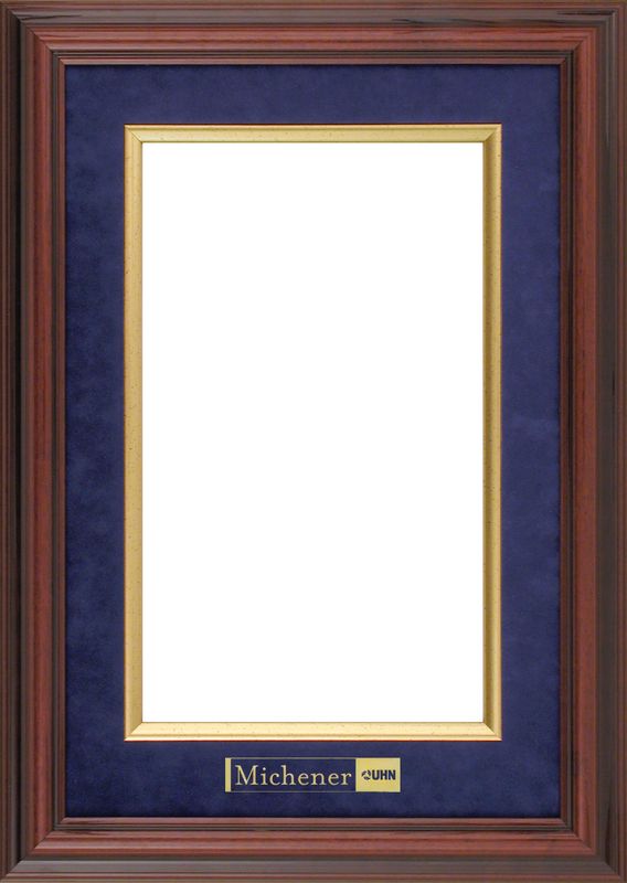 Diplomat Plus Diploma Frame