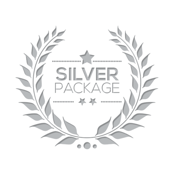 ✨ Silver - Basic Package