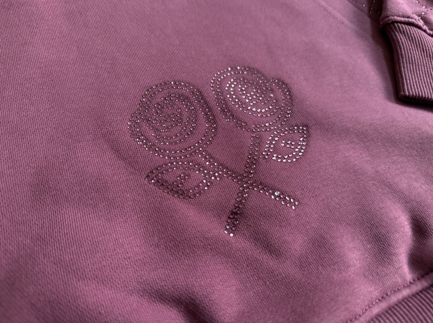 Roses Berry Rhinestone Hoodie