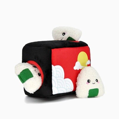 Foodie Japan- Bento Box