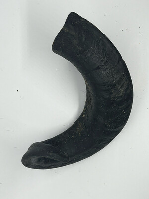 Lamb Horn