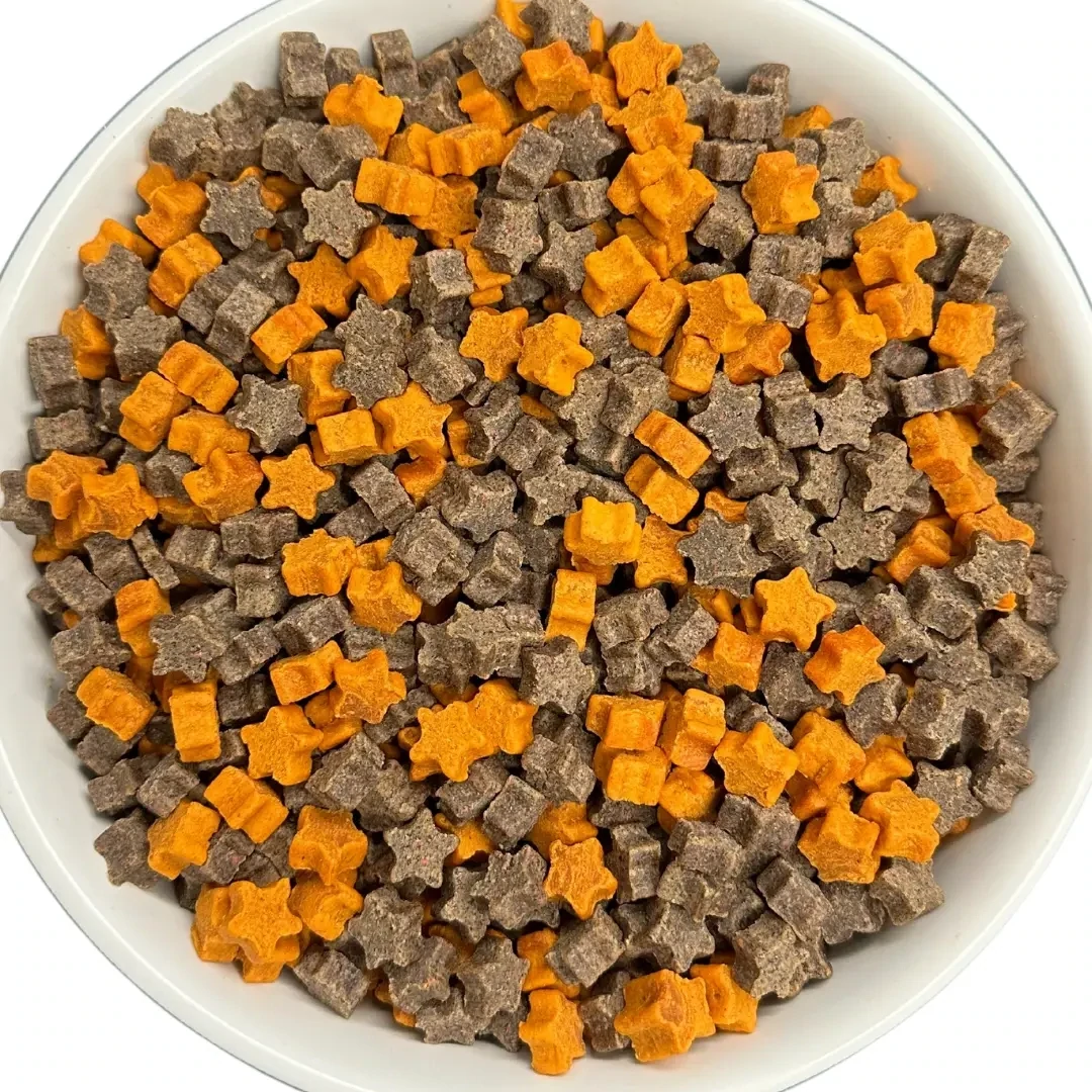 Pumpkin and Blueberry Bites (Soft/Chewy)