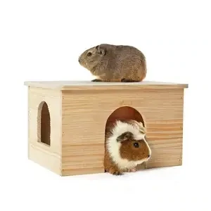 Small Animal Toys/Accesories