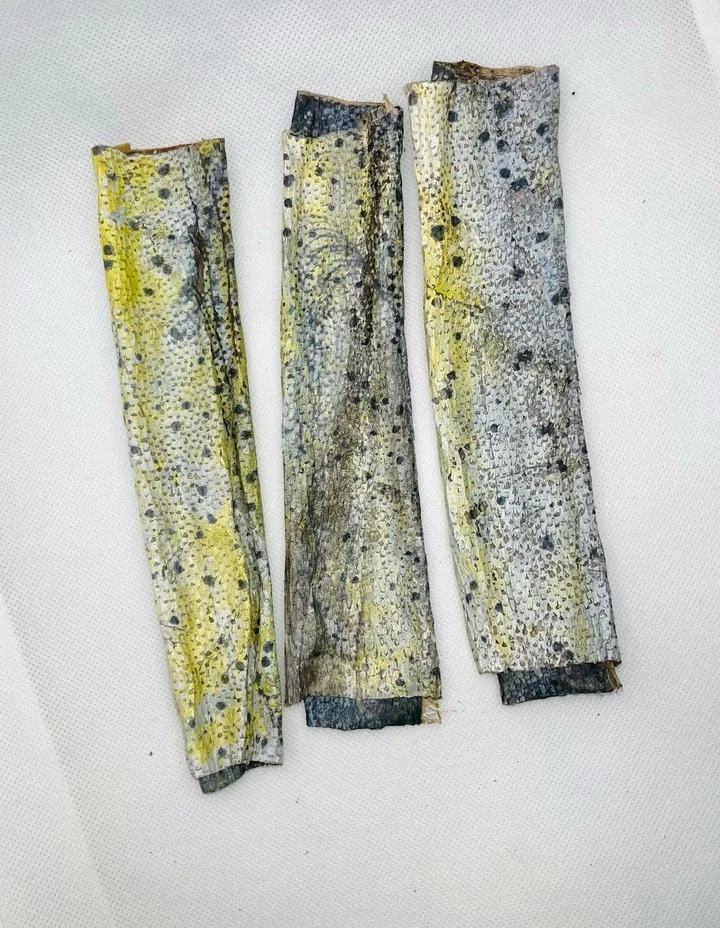 Mahi Mahi Skins