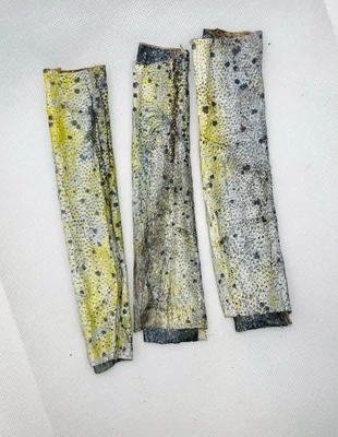Mahi Mahi Skins