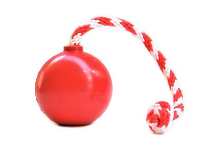USA K-9 Cherry Bomb Chew Toy