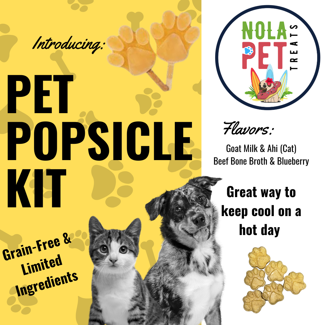 Popsicle Kit
