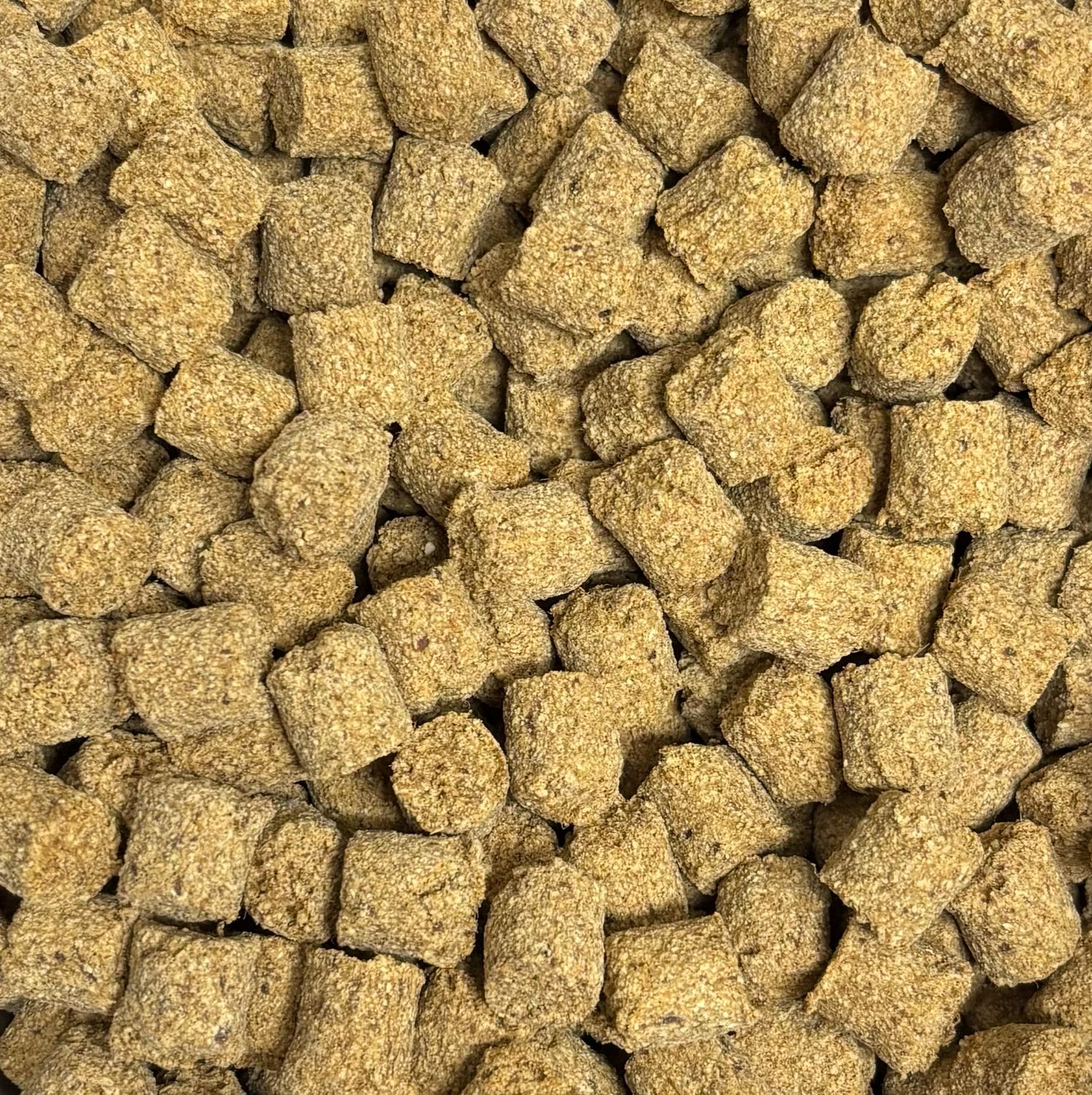 Wild Boar Bites