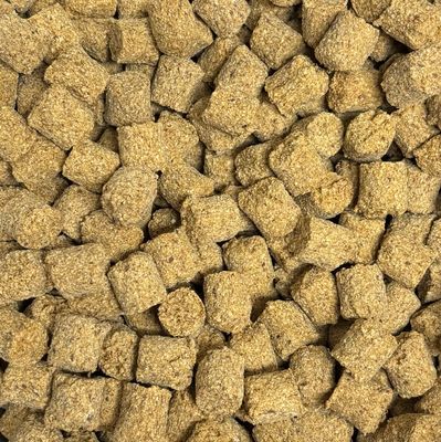 Wild Boar Bites