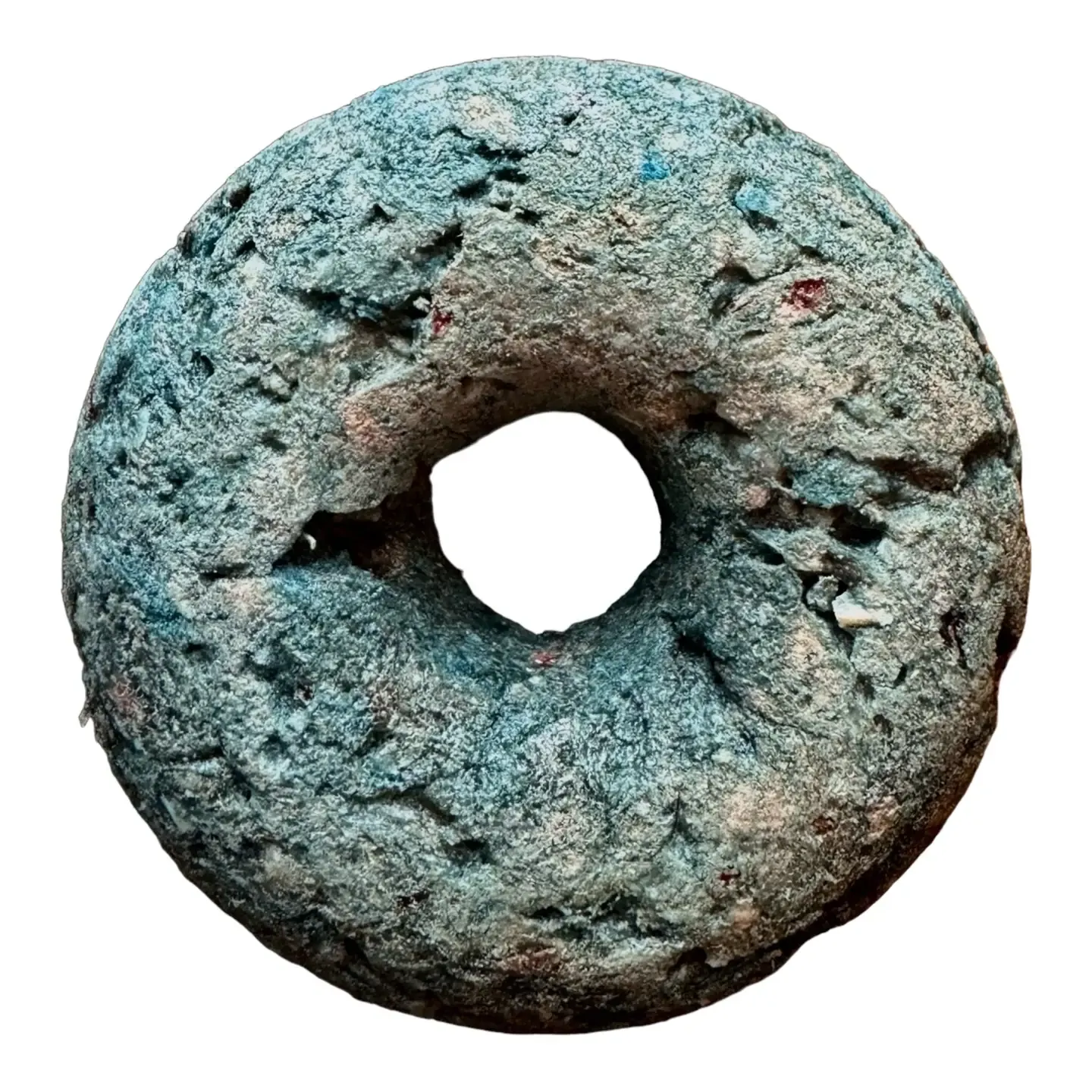Freeze Dried Duck &amp; Spirulina Dounut