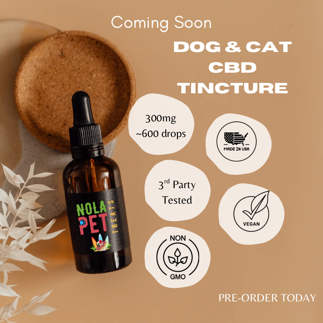 Broad Spectrum CBD Tincture (Dogs &amp; Cats)