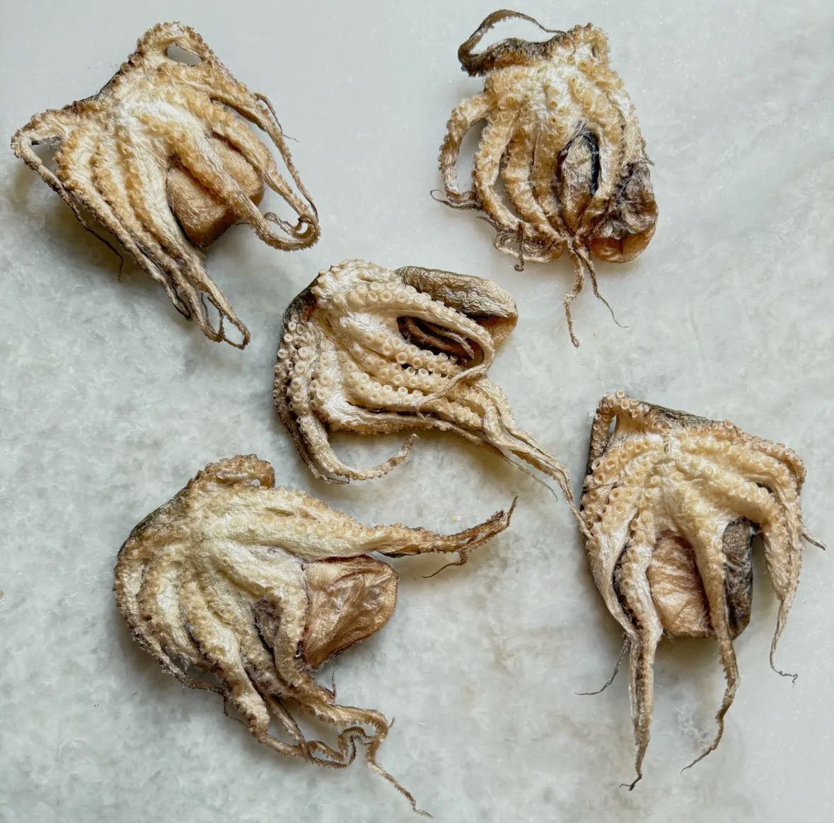 Freeze-Dried Baby Octopus