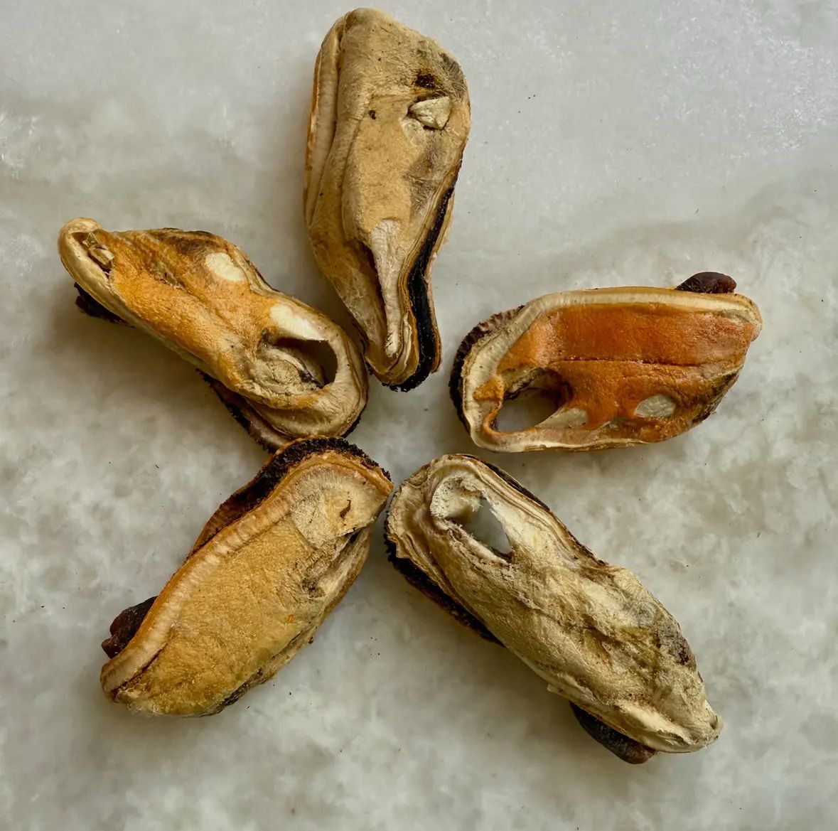 Freeze-Dried NZ Green-Lipped Mussels