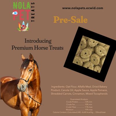 Premium Horse Treats
