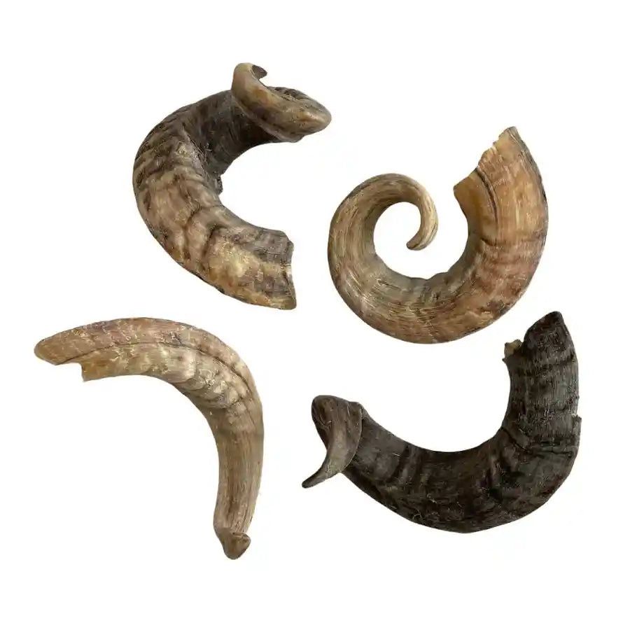 Lamb Horn Dog Chew