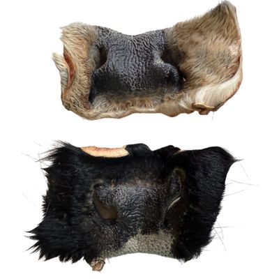 Freeze Dried Cow Snout Freeze Dried Cow Snout