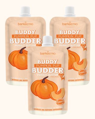 Bark Bistro Pumpkin Peanut Butter Bark Bistro Pumpkin Peanut Butter