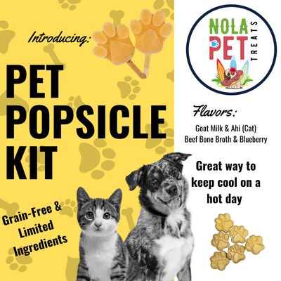 Popsicle Kit