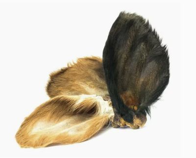 Cow Ear (Fur)