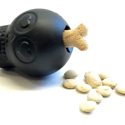 Skull Treat Dispenser