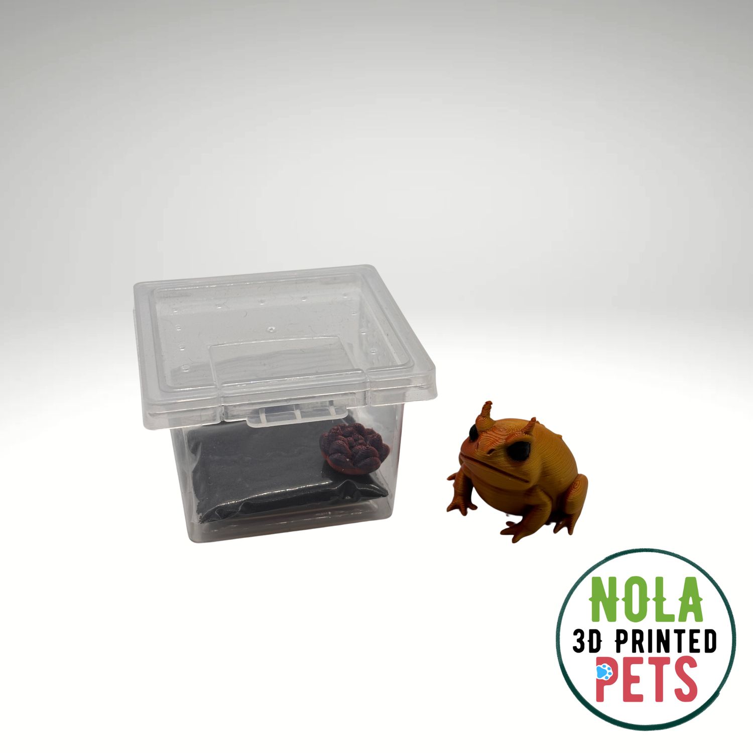 Horned Frog Desk Pet Horned Frog Desk Pet