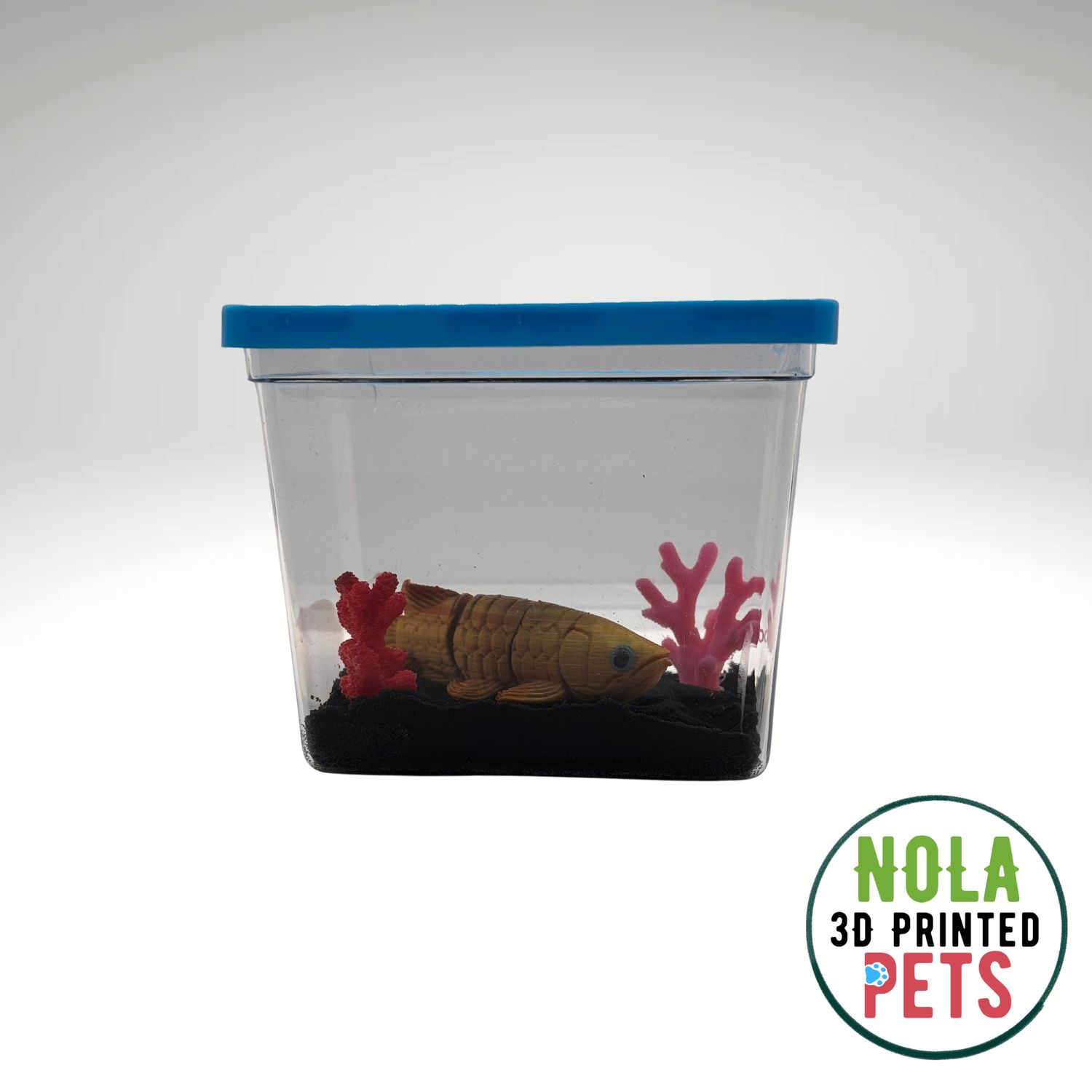 Arowana Desk Pet Arowana Desk Pet