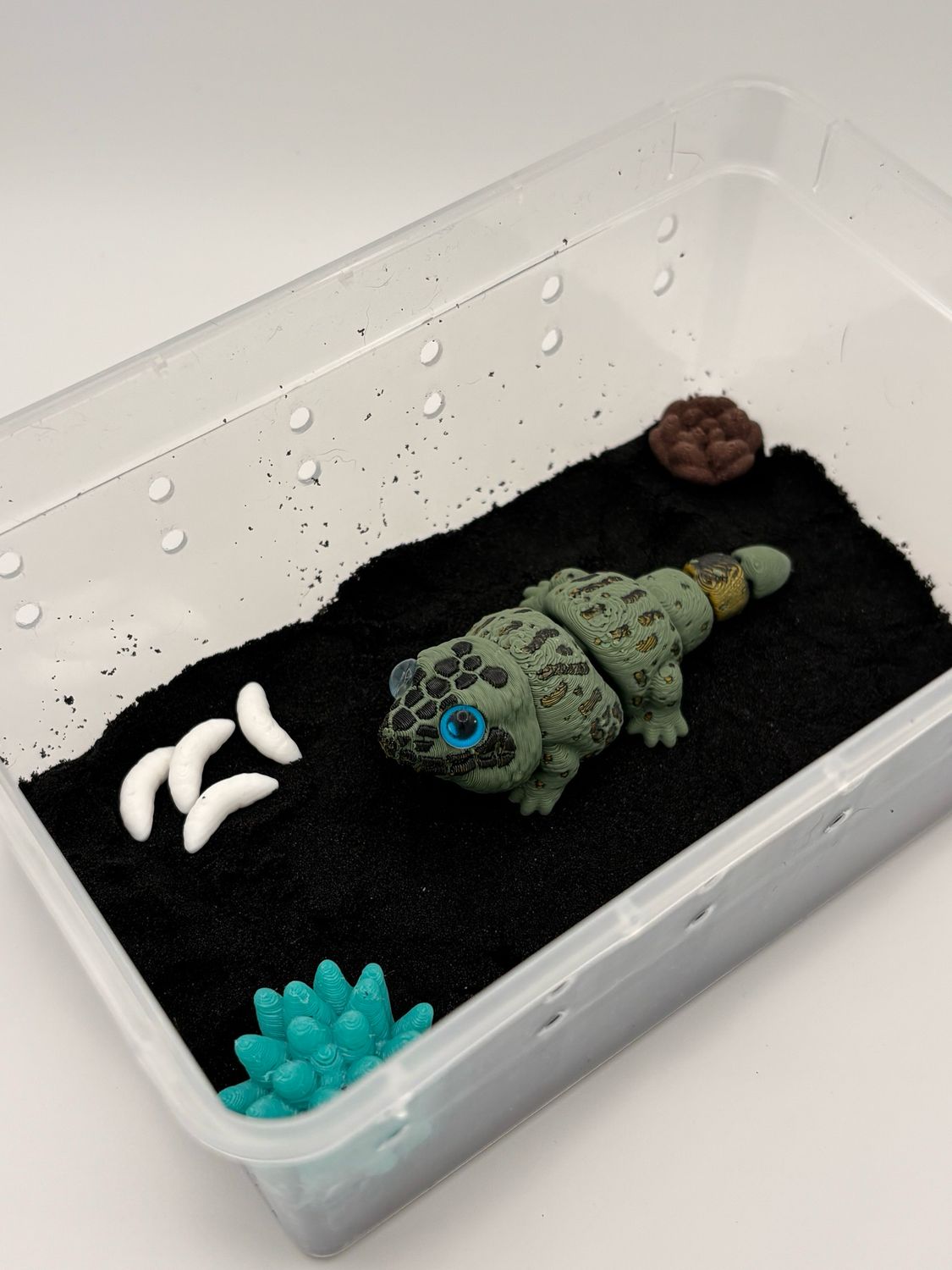 Chibi Tegu Desk Pet Chibi Tegu Desk Pet