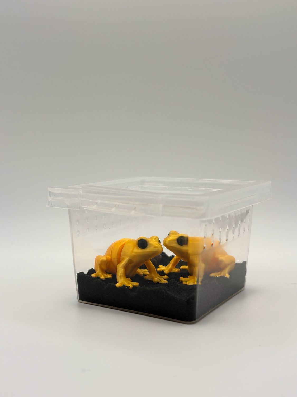 Dart Frog Desk Pet Dart Frog Desk Pet