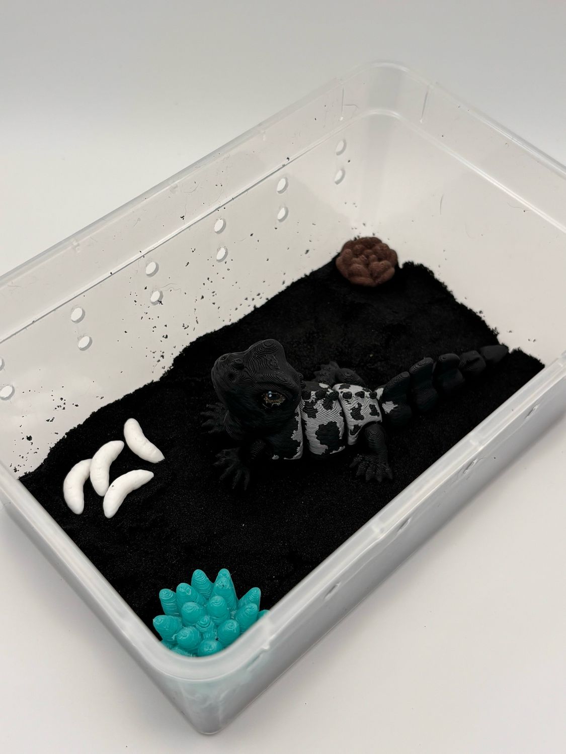 Sailfin Lizard Desk Pet Sailfin Lizard Desk Pet