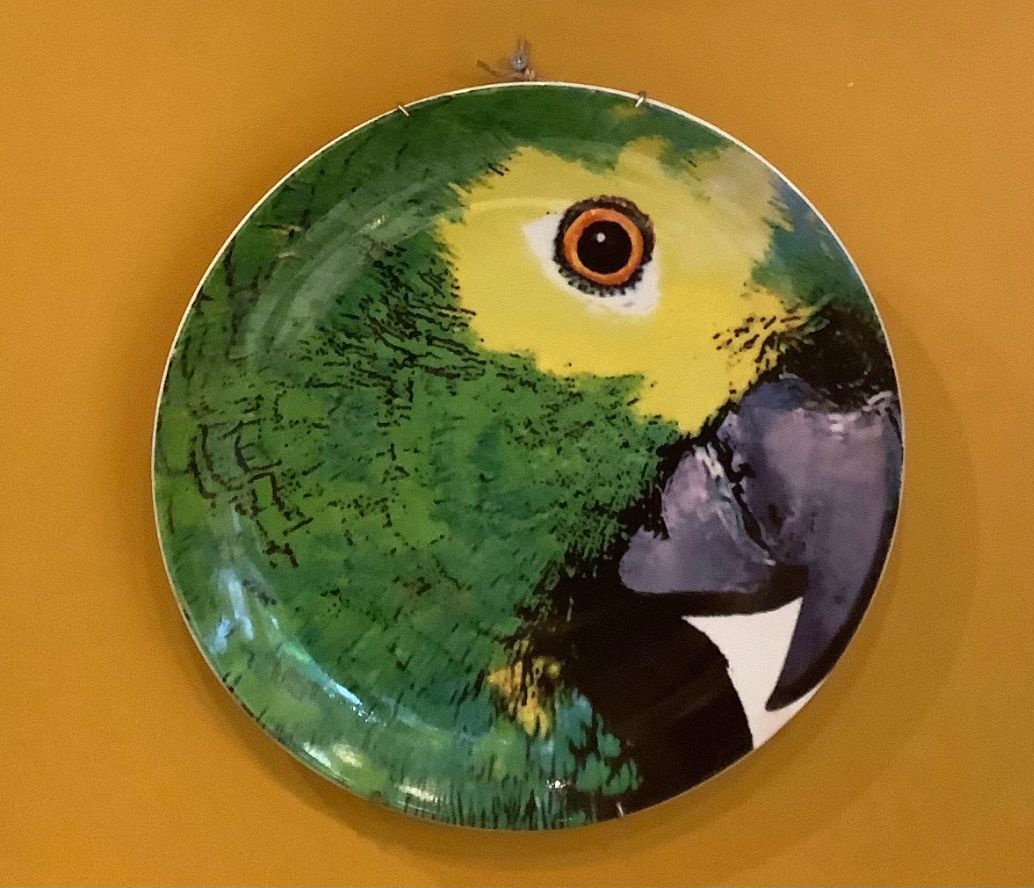 Olhar o Brasil wandbord