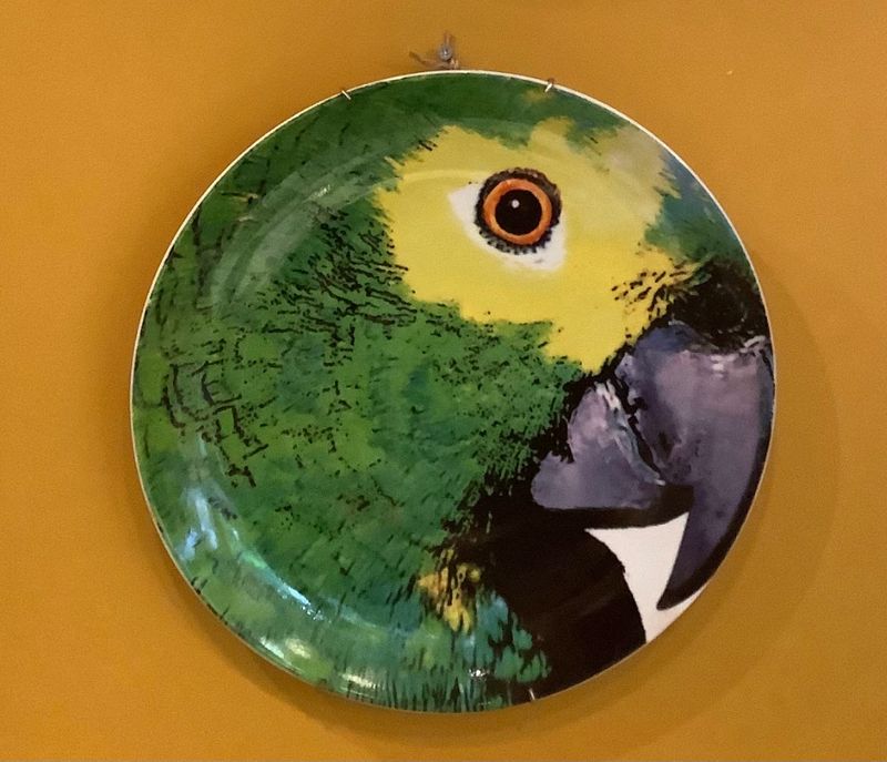 Olhar o Brasil wandbord