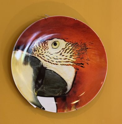Olhar o Brasil wandbord - rood